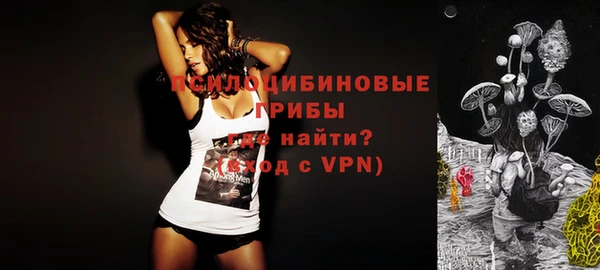 прущие крисы Богданович