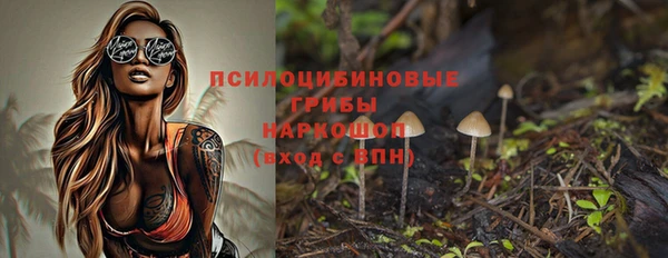 прущие крисы Богданович