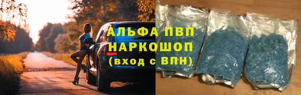 прущие крисы Богданович