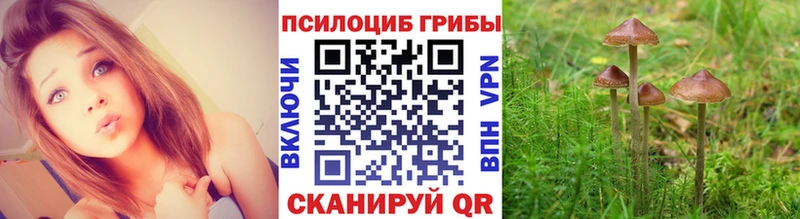 mega tor Мценск Псилоцибиновые грибы мухоморы