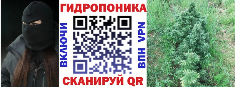 Каннабис THC 21%  где купить наркотик  Мценск 